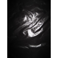 shiny nylon taffeta